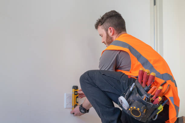 Best Electric Panel Repair  in Holiday Heights, NJ